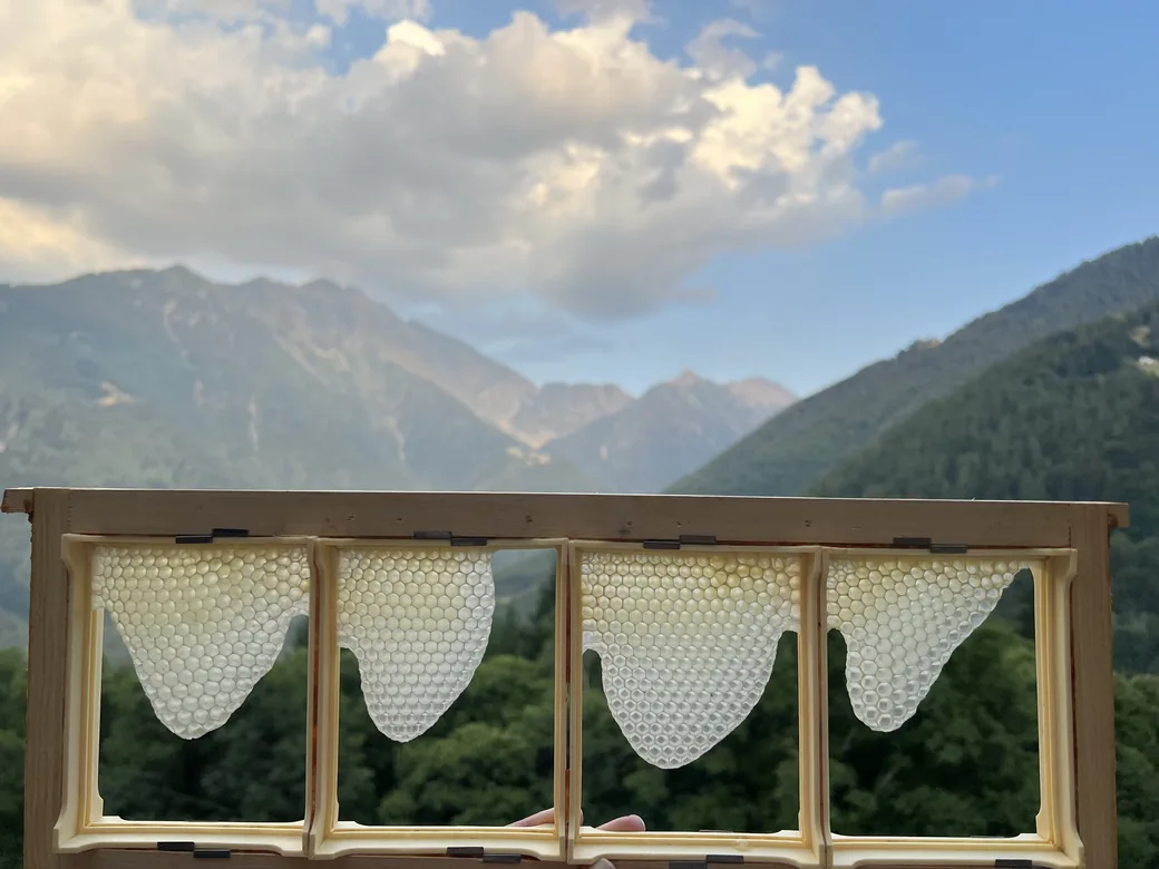 Frisch gebaute weisse Wabe im Rähmchen, dahinter die Berge